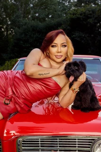 Tameka “Tiny” Harris: A Multi-Platinum Powerhouse in Music, Television, and Business