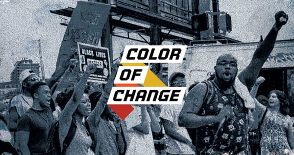 The Color of Change - Empowering Communities Through Non-Profit Action